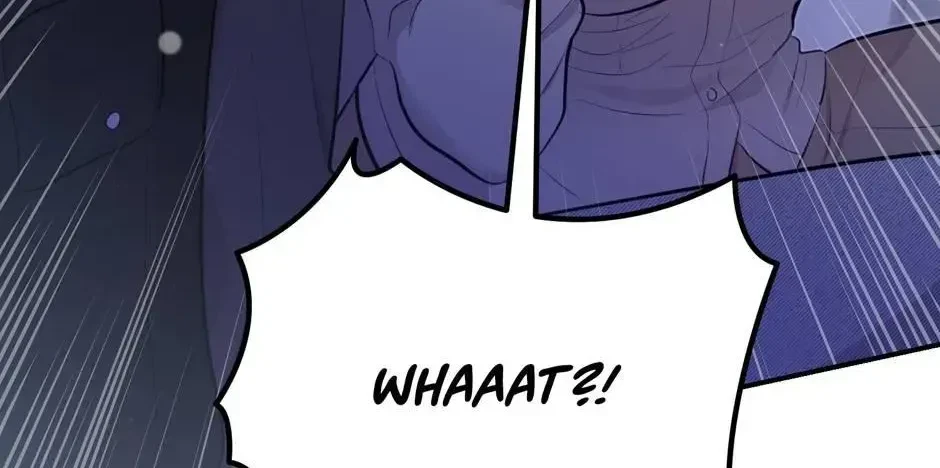 Chapter 2.1, page 136