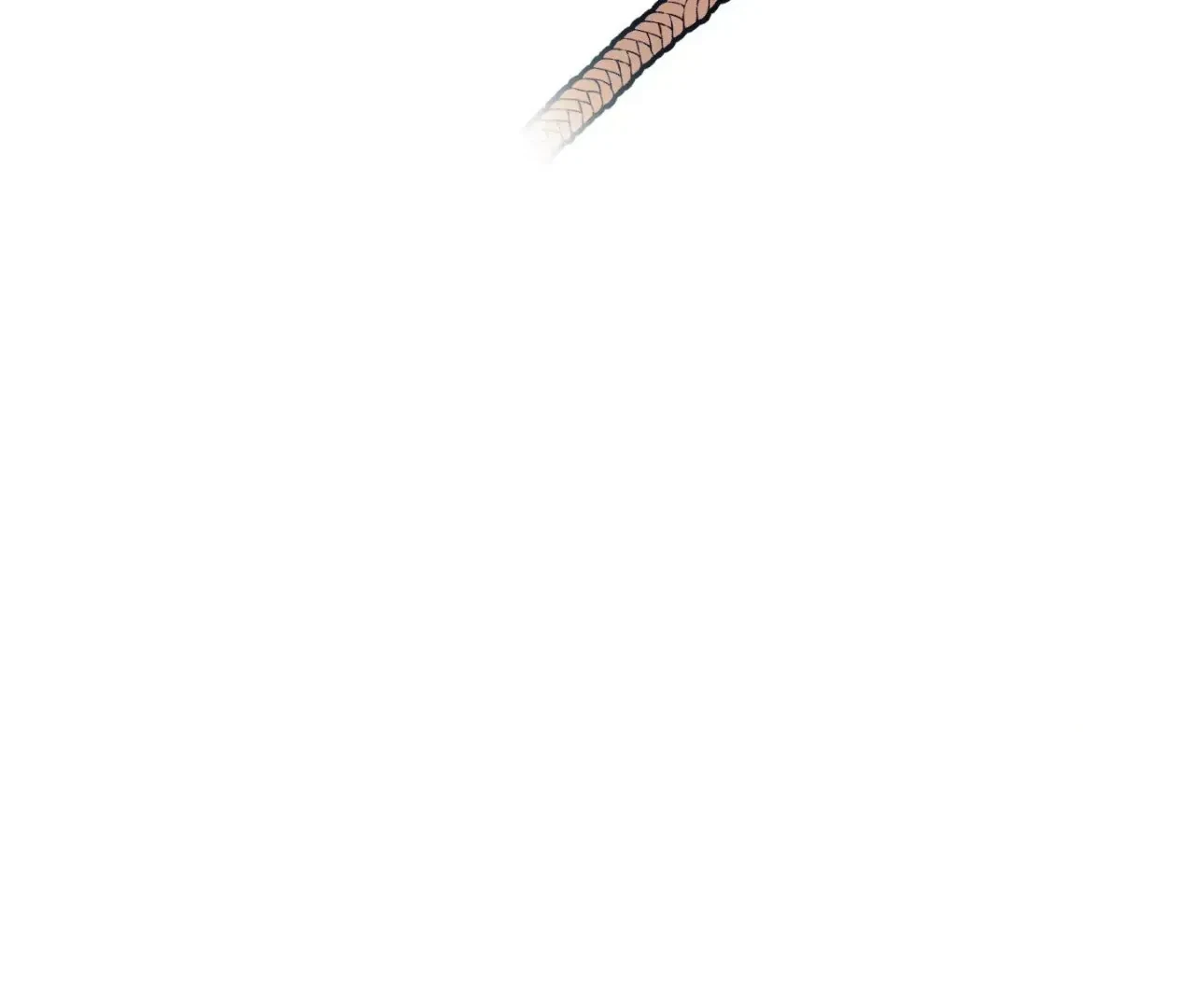 Chapter 11, page 8
