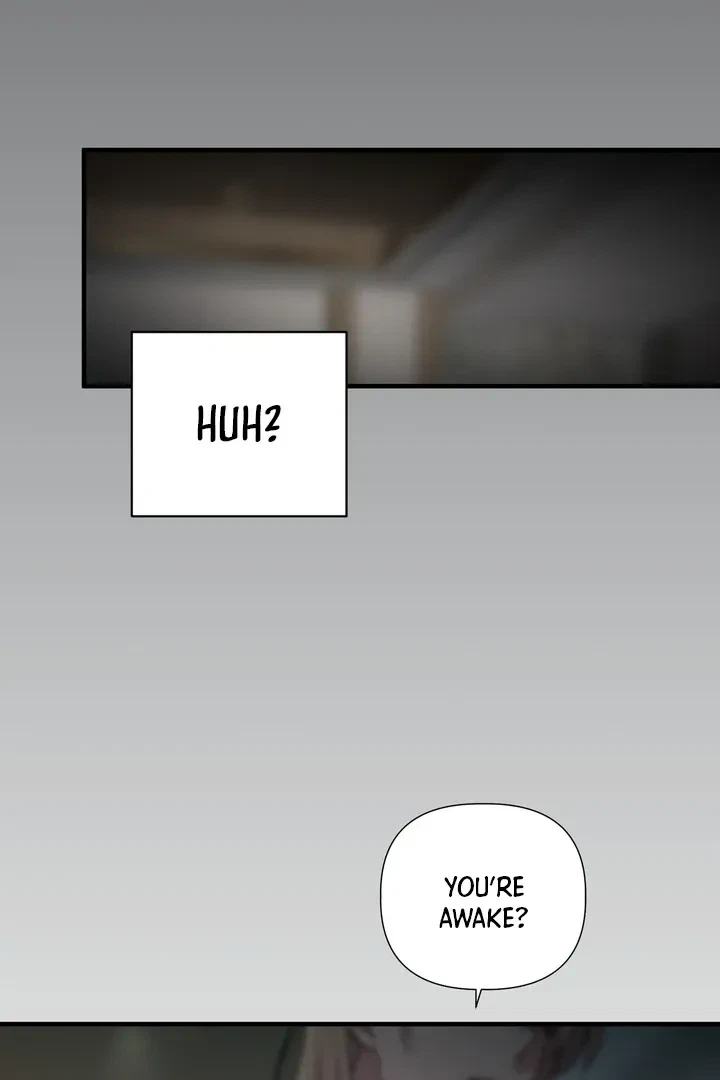 Chapter 2, page 48