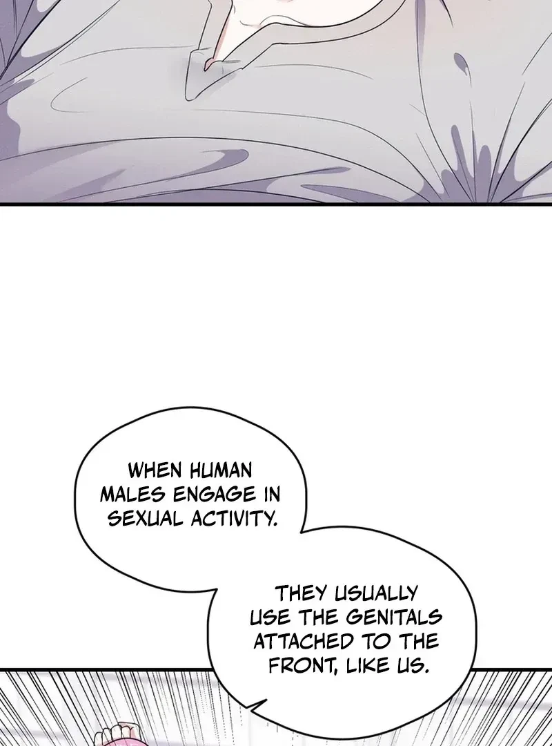 Chapter 1.1, page 116