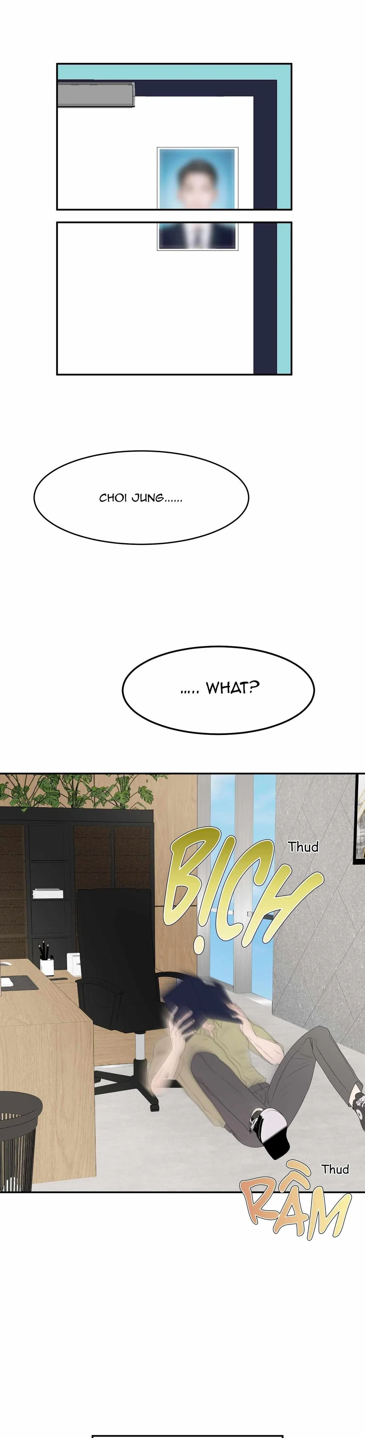 Chapter 1, page 13