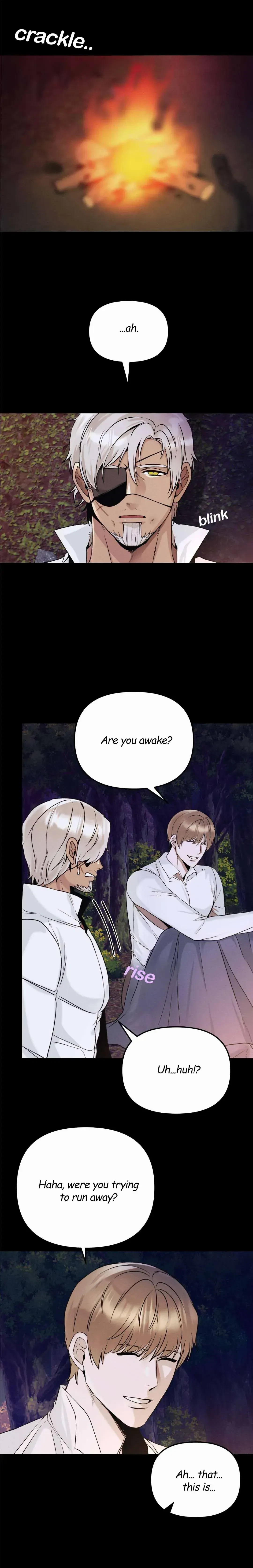 Chapter 3, page 13