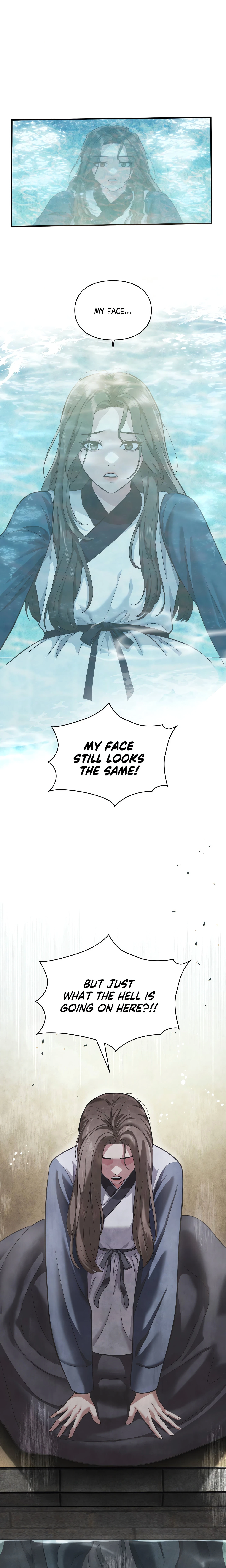 Chapter 1, page 17