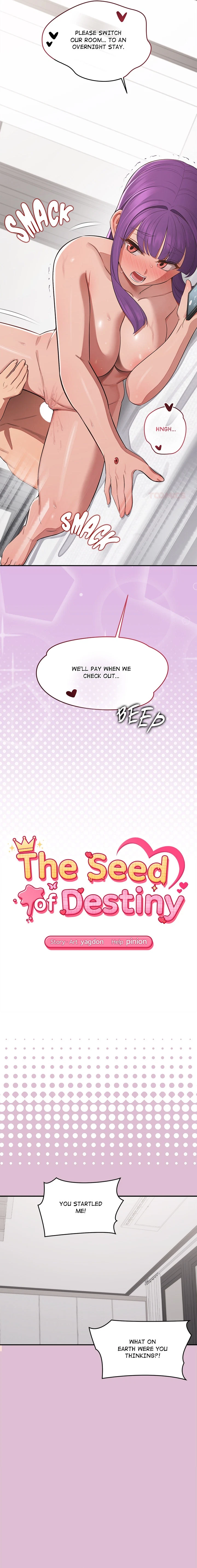 The Seed Of Destiny Chapter 17, page 2