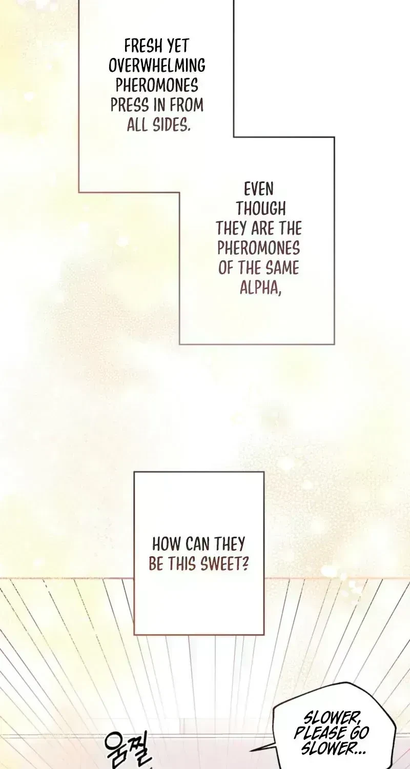 Chapter 1.5, page 4