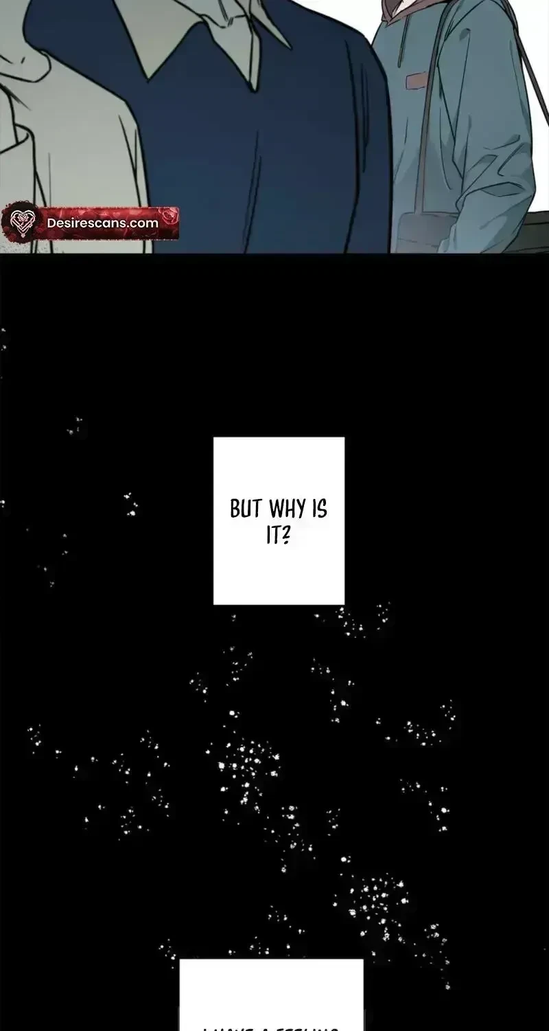 Chapter 1.5, page 52