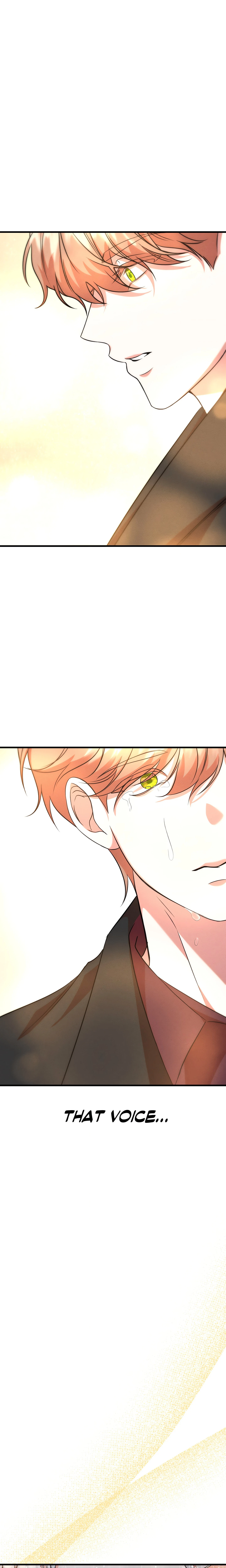 Chapter 28, page 17