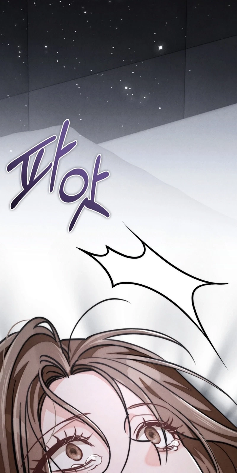Chapter 13, page 104