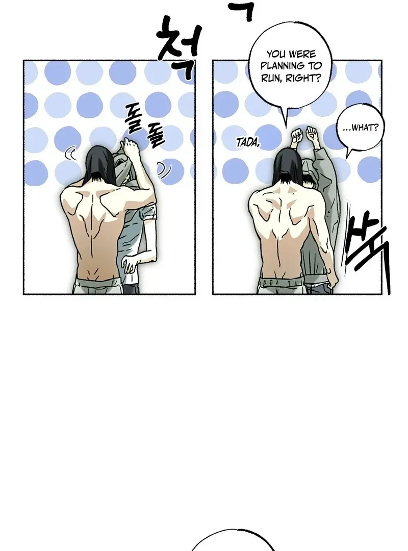 Chapter 3, page 48