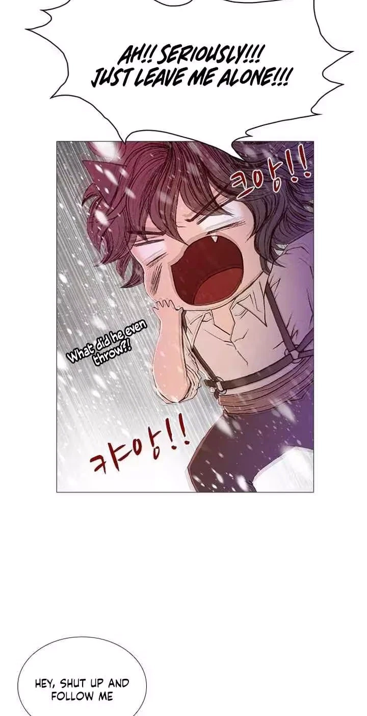Chapter 40, page 41