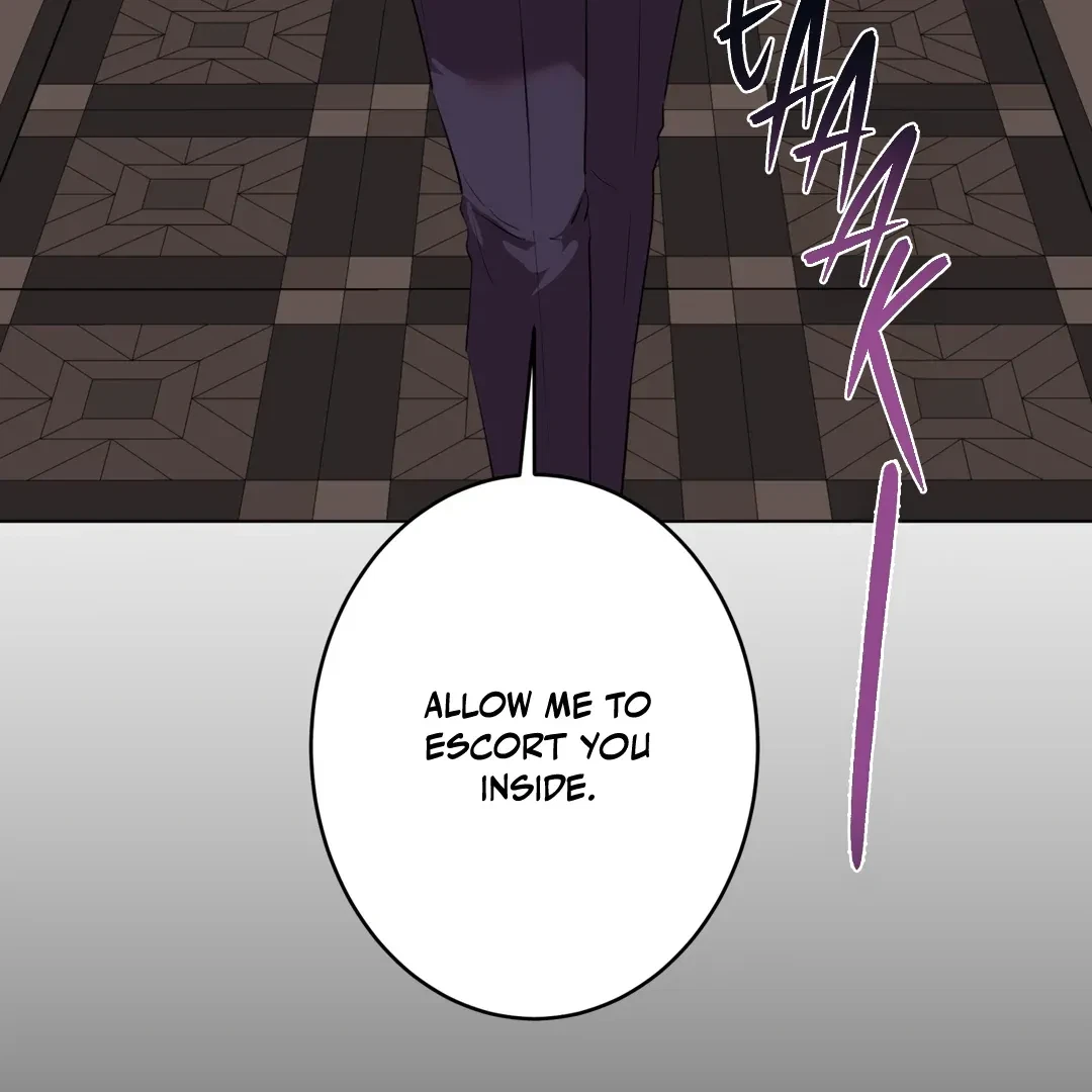 Chapter 1, page 13