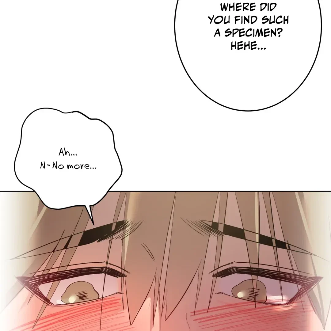 Chapter 1, page 36