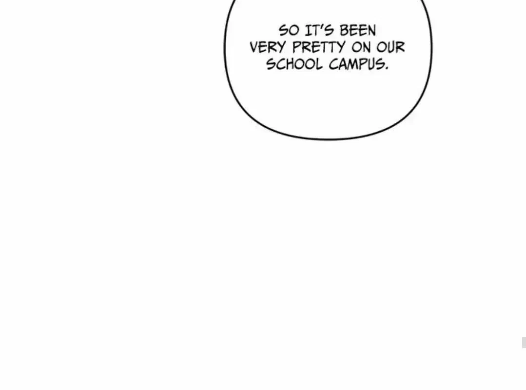 Chapter 2.5, page 117
