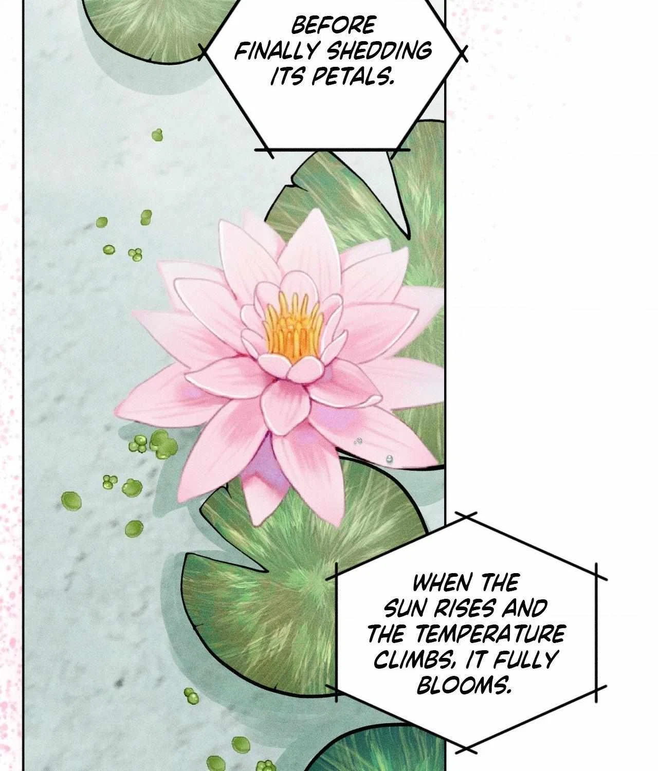 Chapter 66, page 26