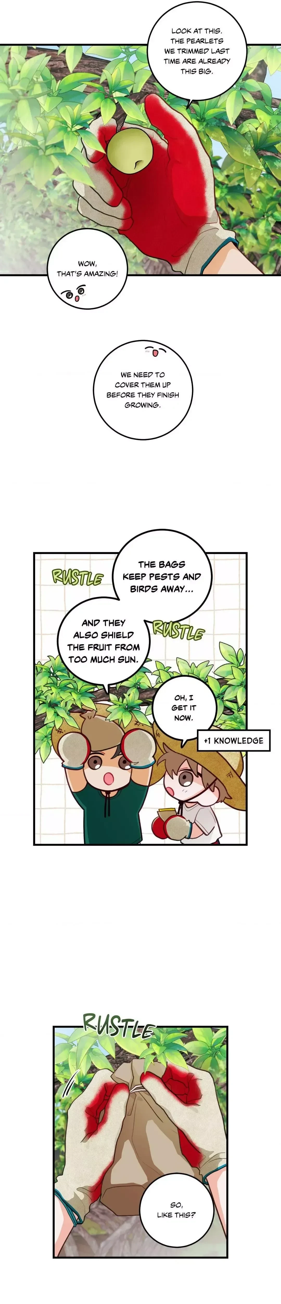 When Pear Blossoms Bloom Chapter 35, page 3
