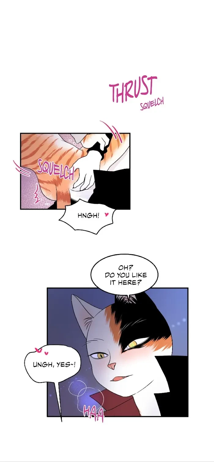 Chapter 2, page 13