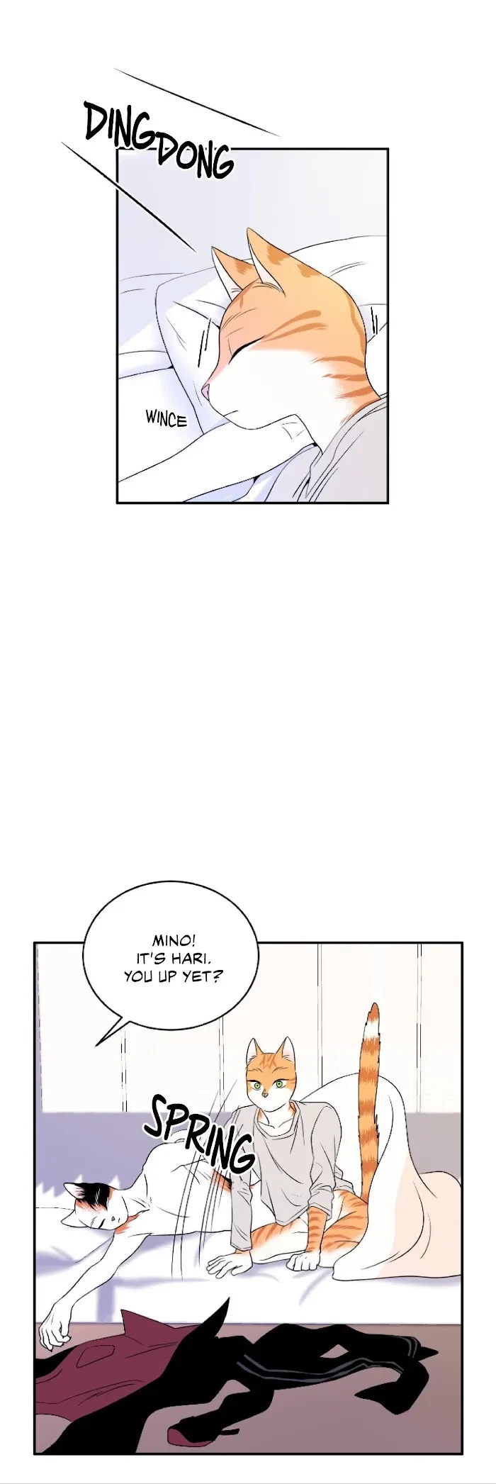 Chapter 2, page 19