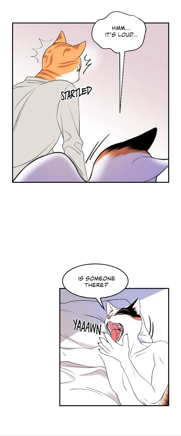 Chapter 2, page 20