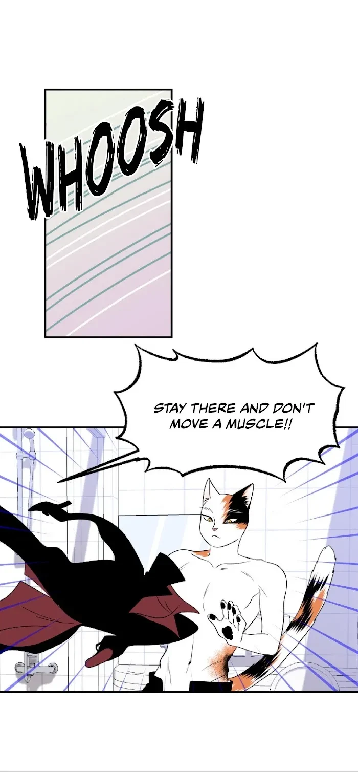 Chapter 2, page 21