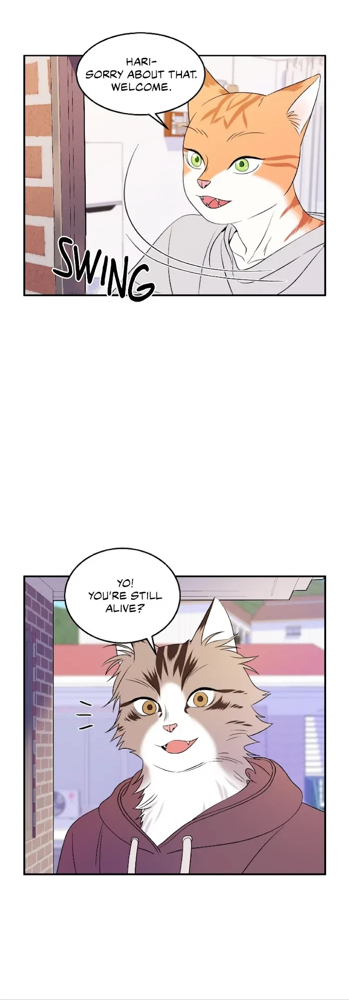 Chapter 2, page 24