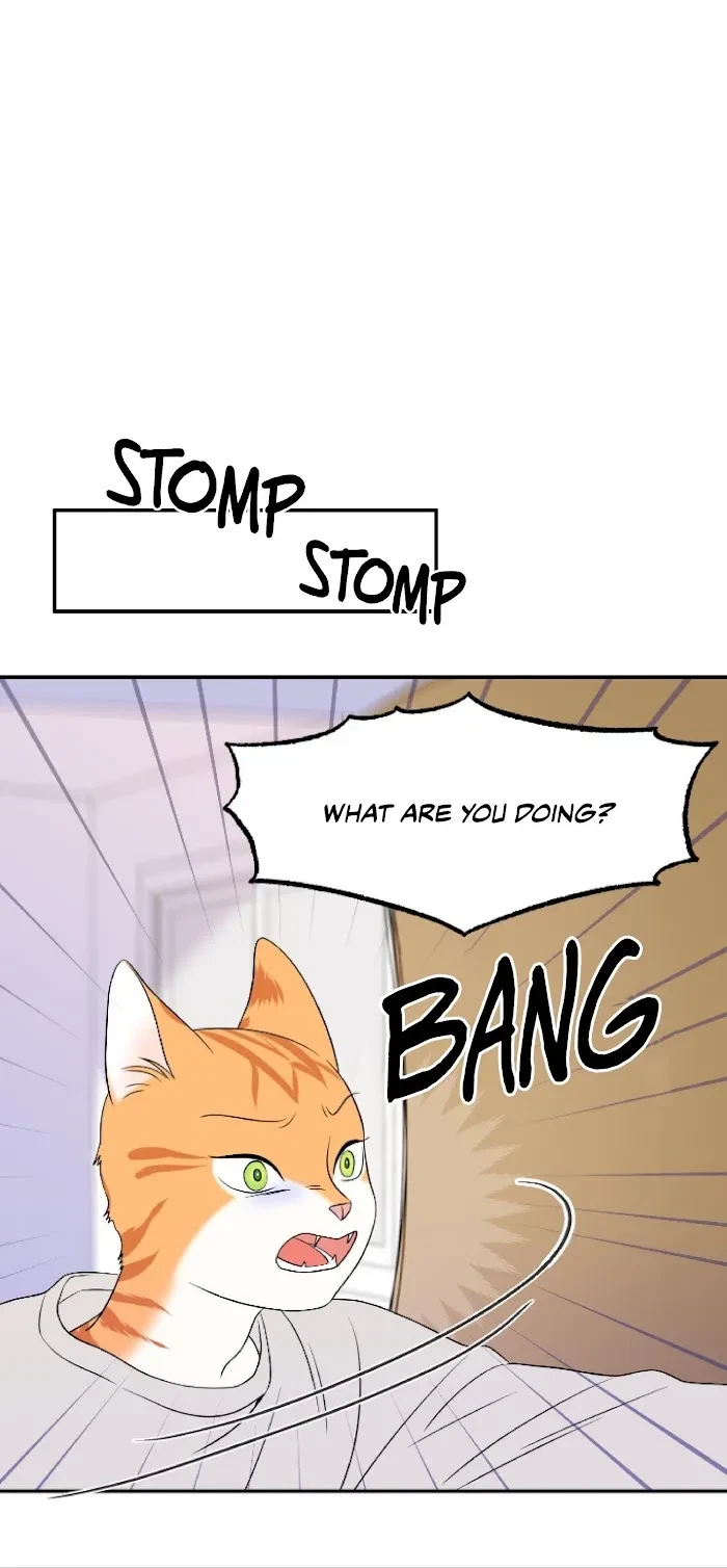 Chapter 2, page 30