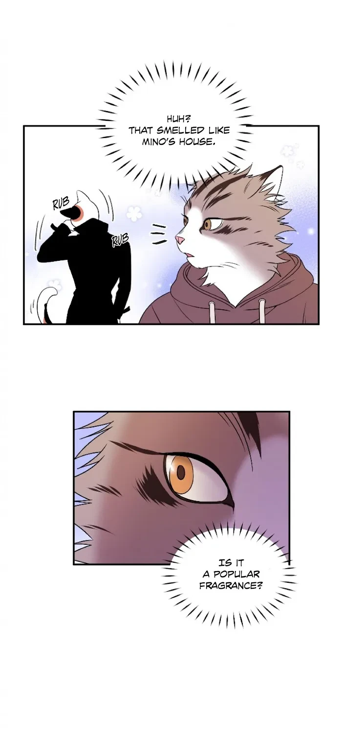 Chapter 2, page 35