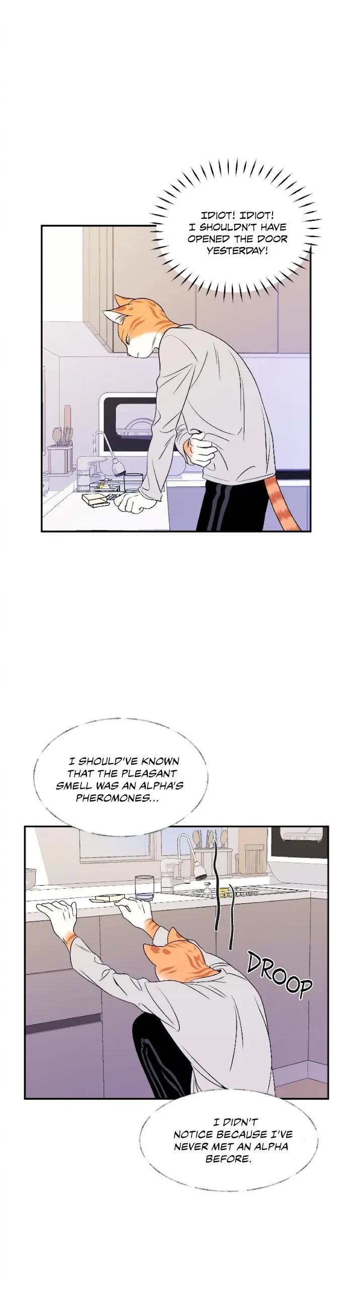 Chapter 2, page 37