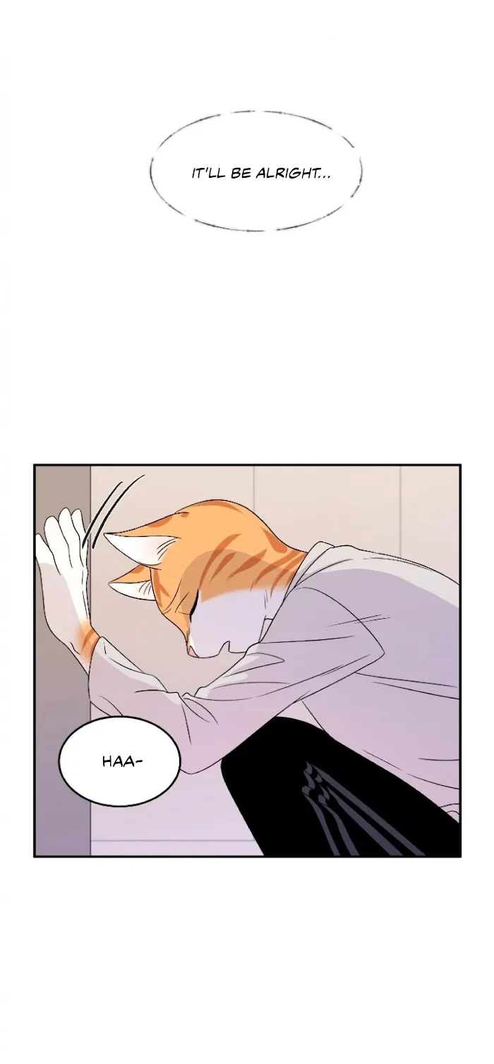 Chapter 2, page 39