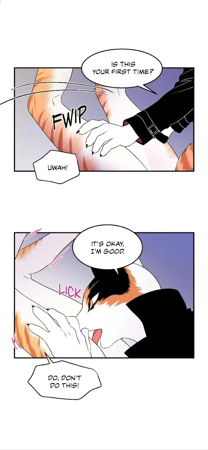 Chapter 2, page 4