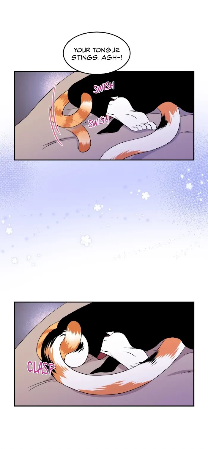 Chapter 2, page 5
