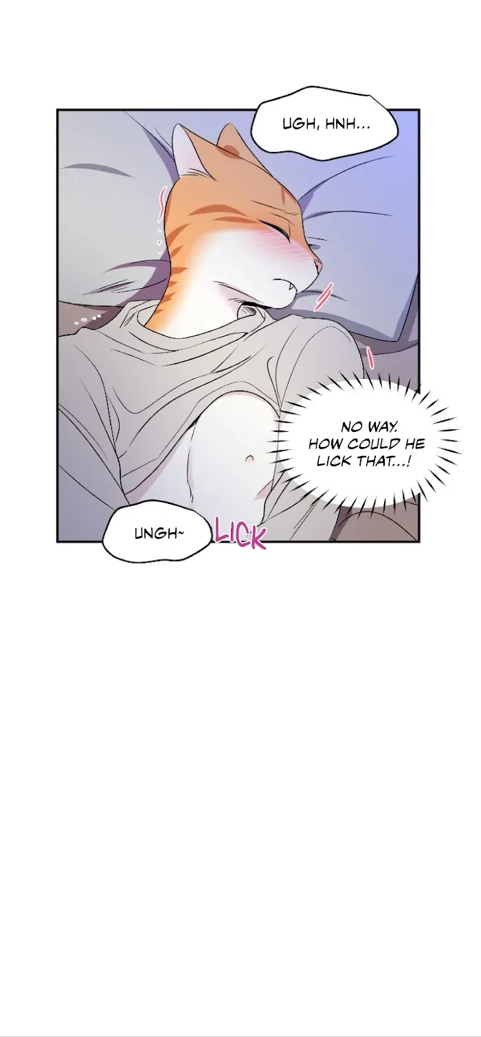 Chapter 2, page 6