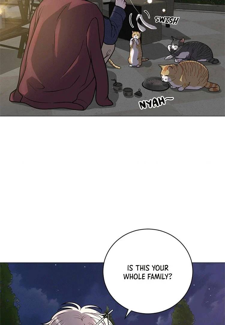 Chapter 8, page 36