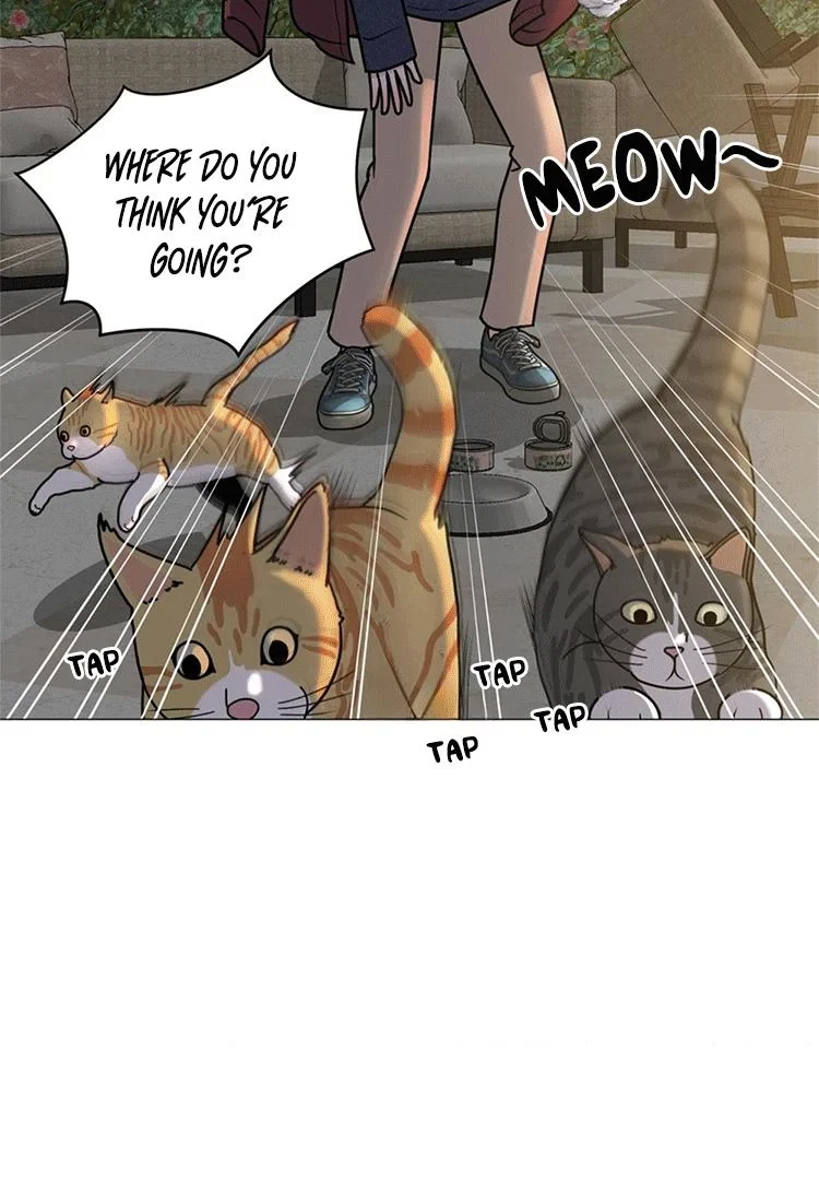 Chapter 8, page 52