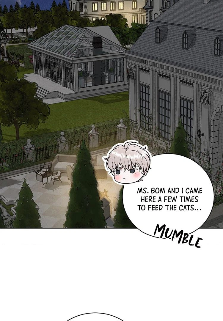 Chapter 8, page 62