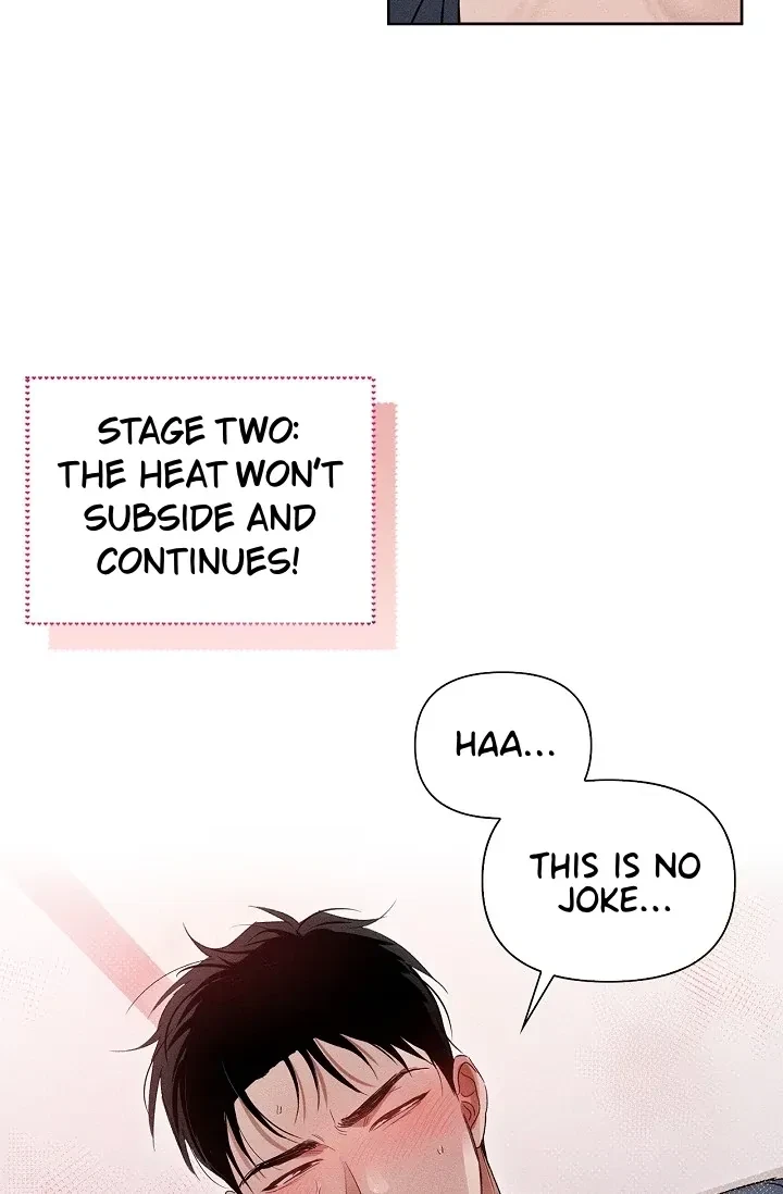Chapter 2, page 49