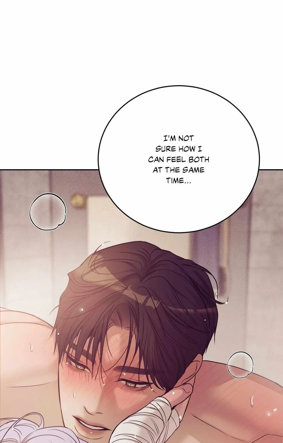 Side. : 13, page 90