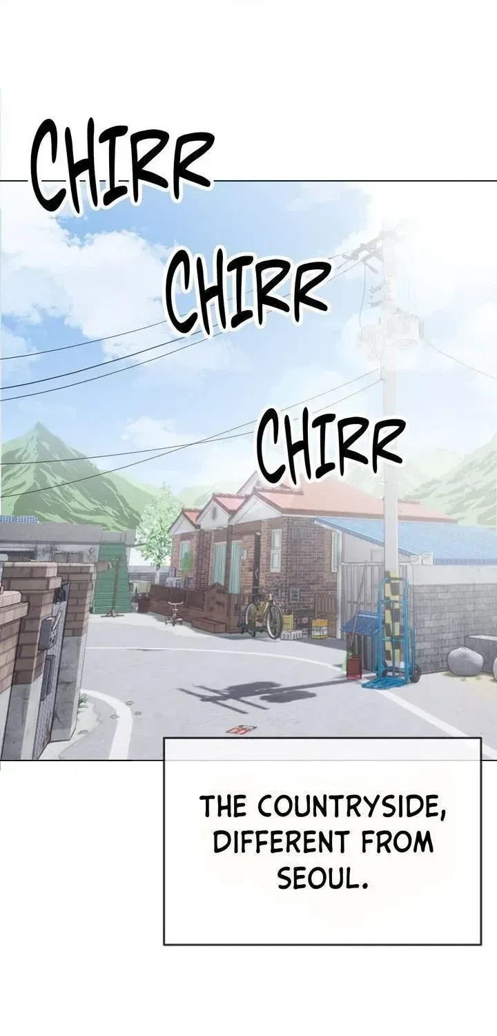 Chapter 1.3, page 33