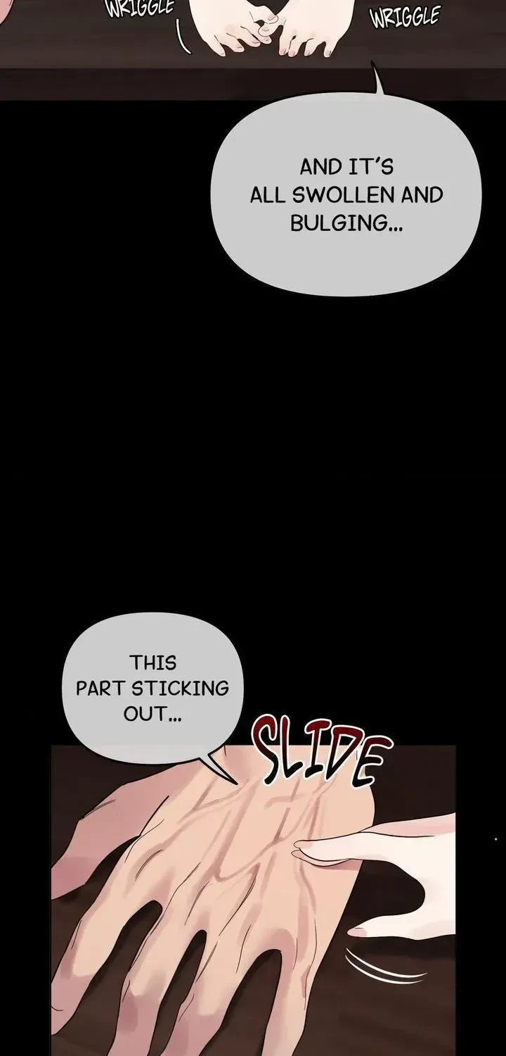 Chapter 1.3, page 5