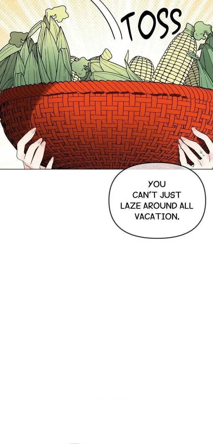 Chapter 1.3, page 67