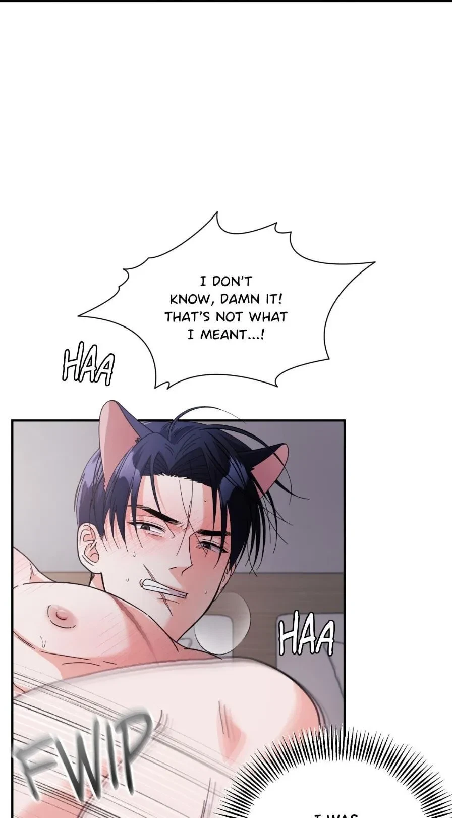 Chapter 55.4, page 66
