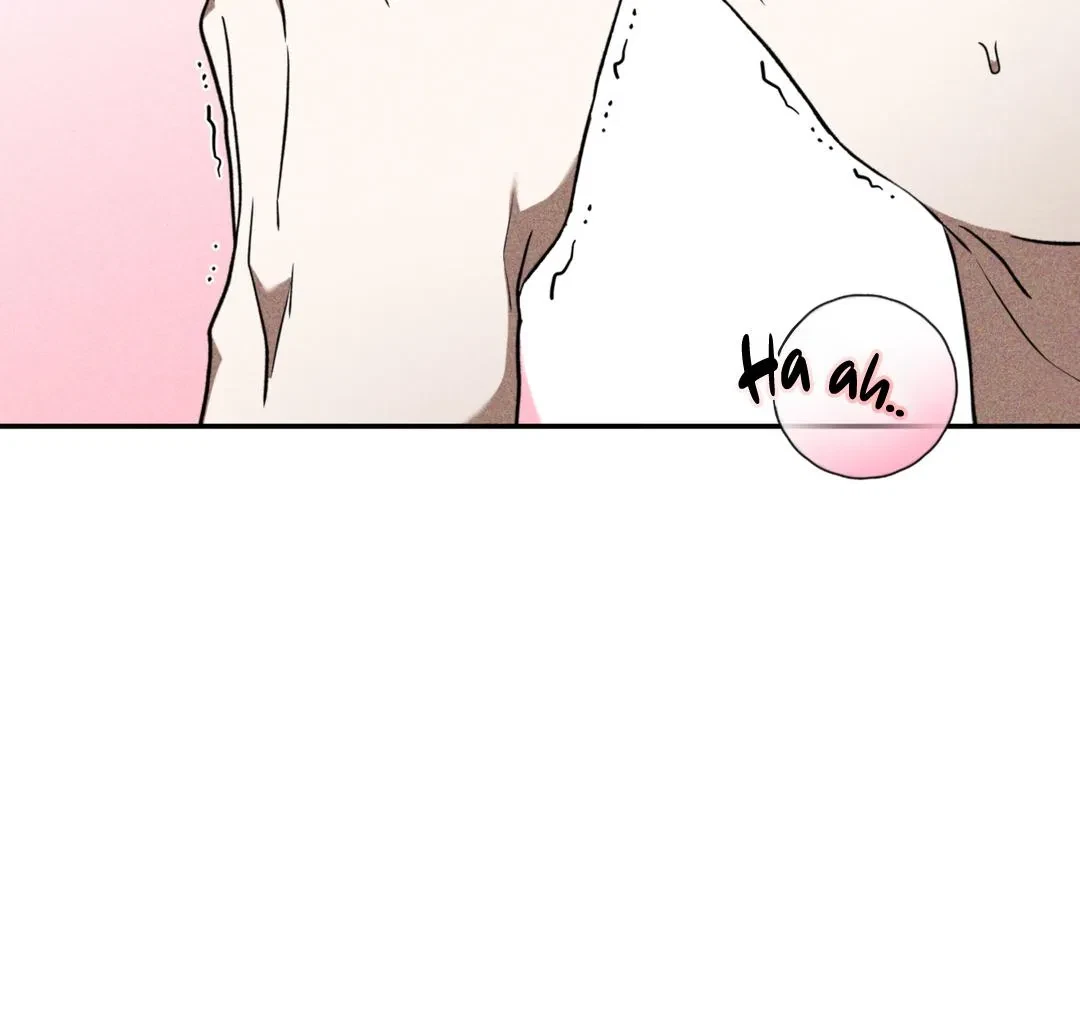 Chapter 3, page 95