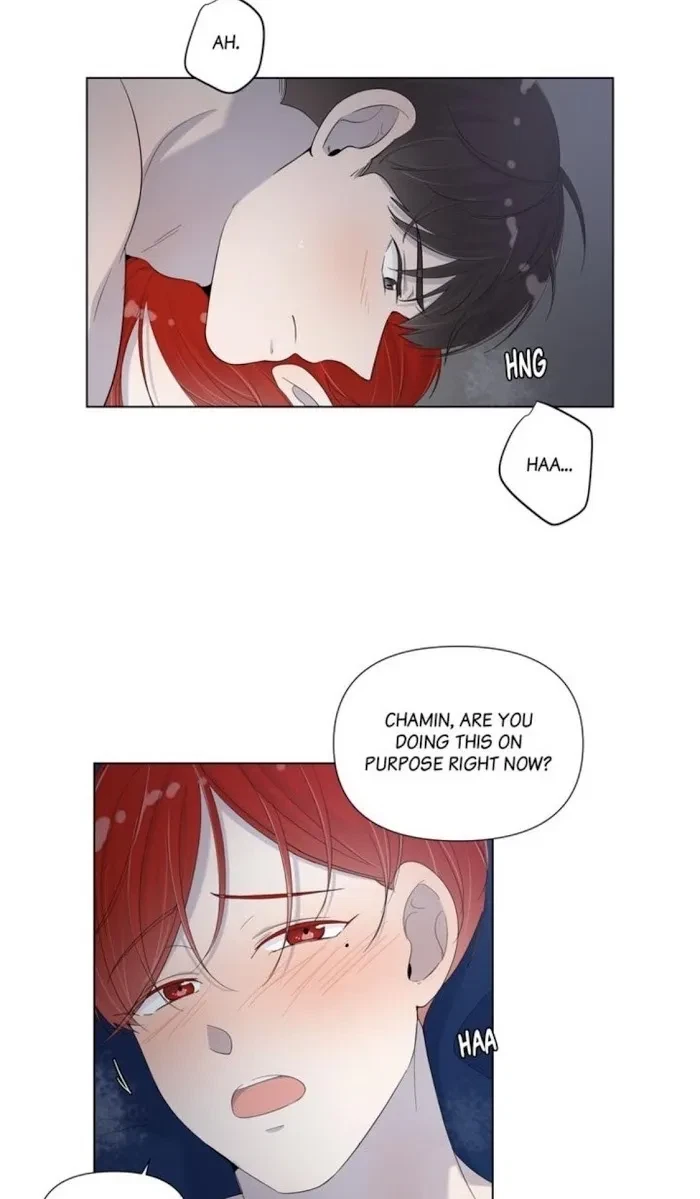 Chapter 41, page 19