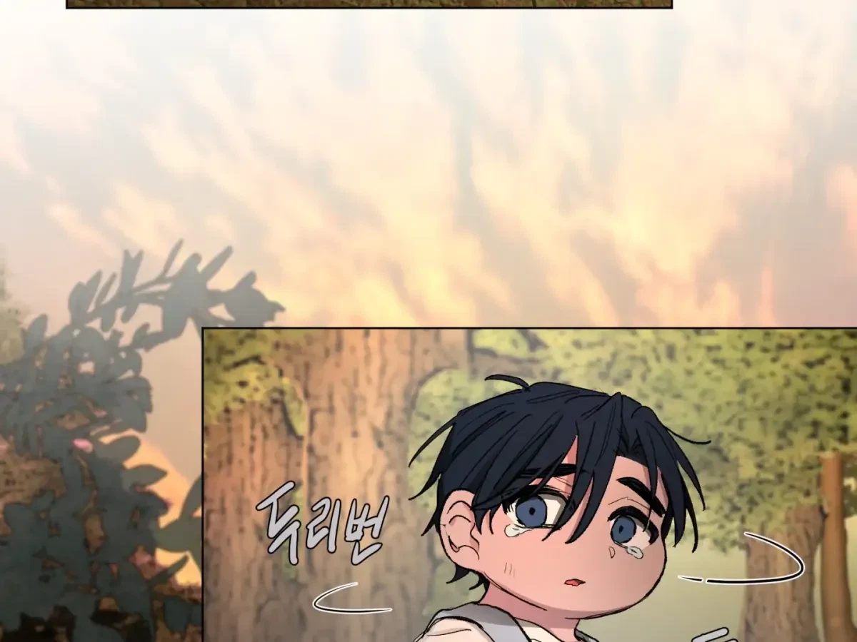 Chapter 1, page 43