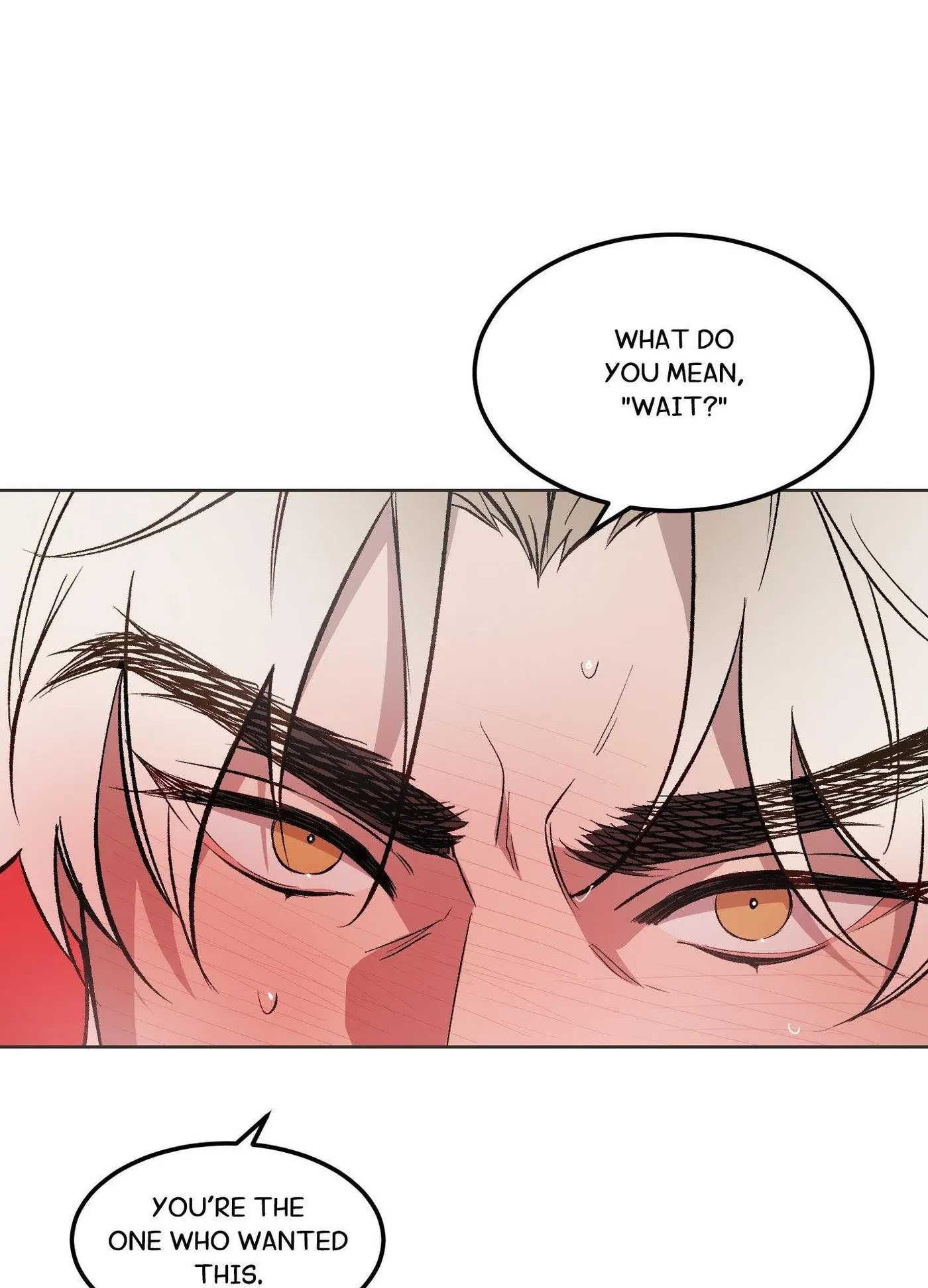 The King Of White Tigers Chapter 28, page 41
