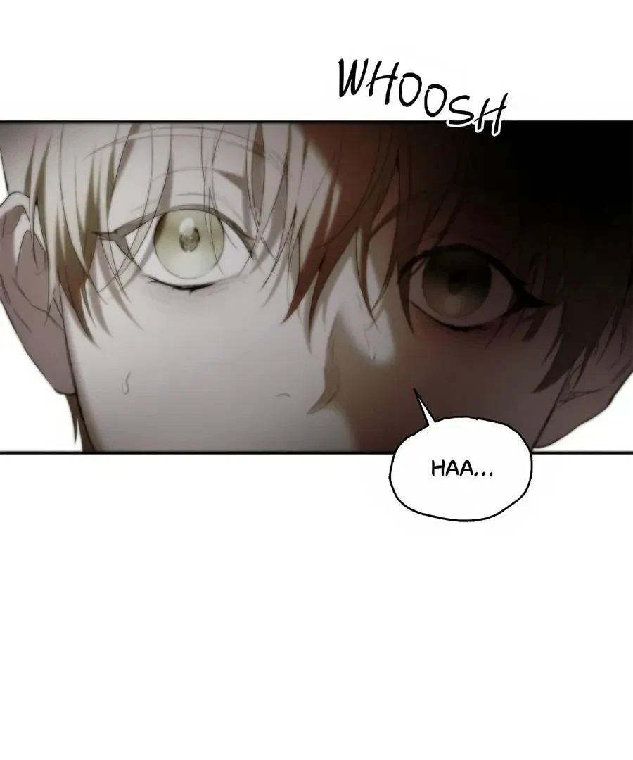 Chapter 51.2, page 43