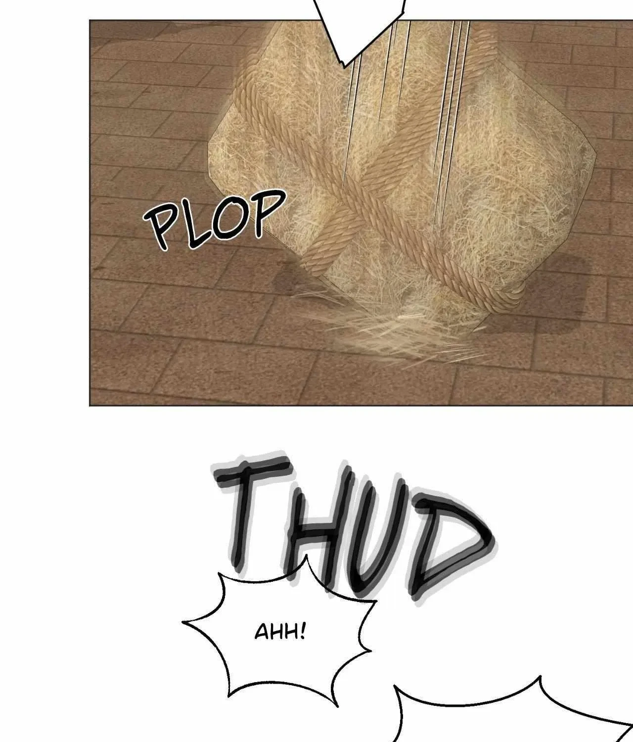 Chapter 1.1, page 13