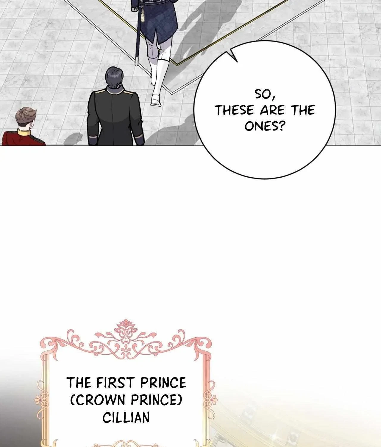 Chapter 1.1, page 46