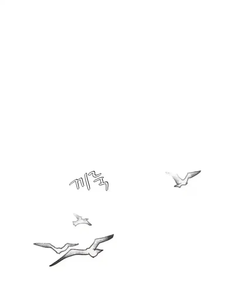 Chapter 1, page 29