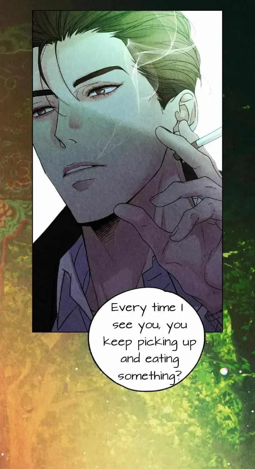 Chapter 3.1, page 19