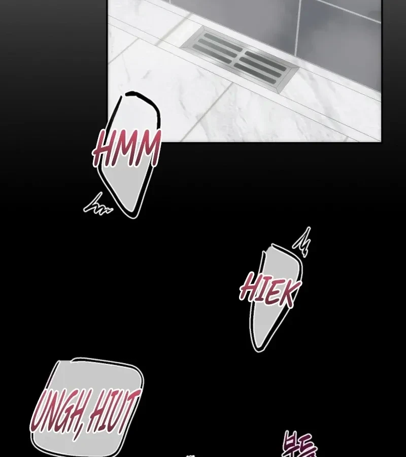 Chapter 5, page 62